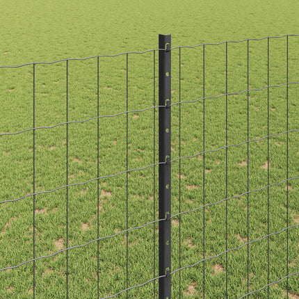 Eurohegn med stolpe 10 x 1,5 m PVC-belagt stål Grå Mesh