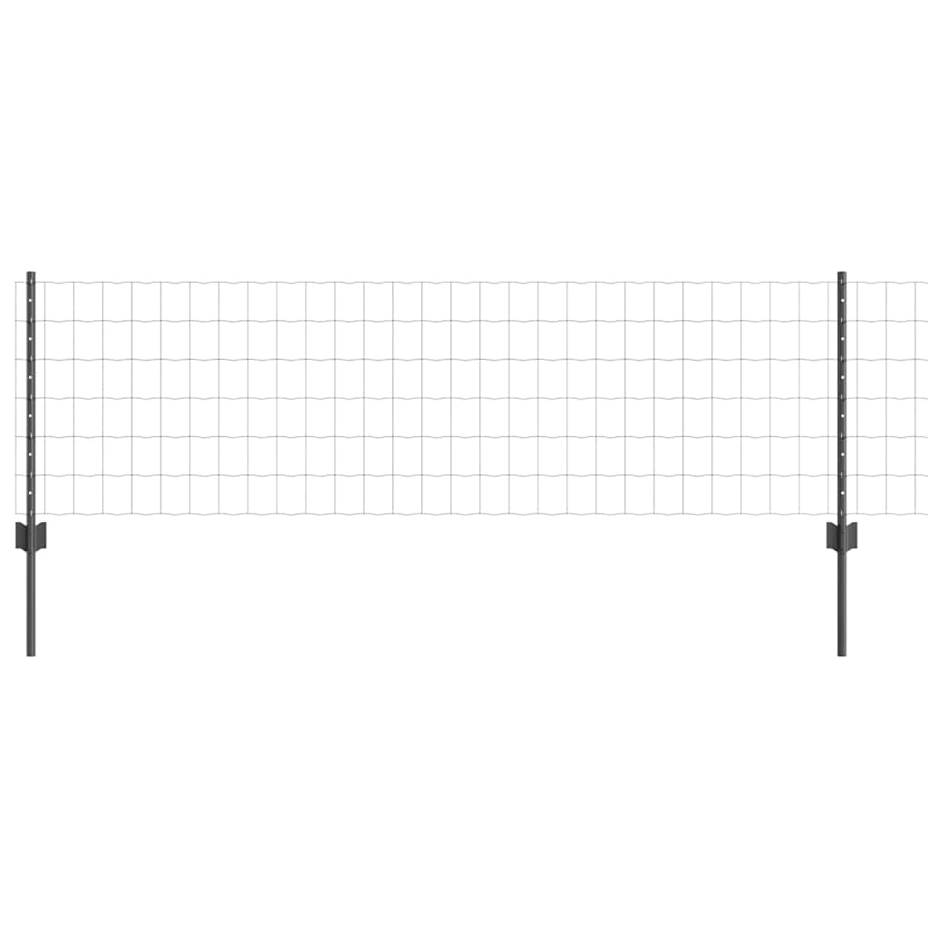 Svejset Trådhegn 10 x 0,6 m (B x H) PVC-belagt stål Grå Mesh