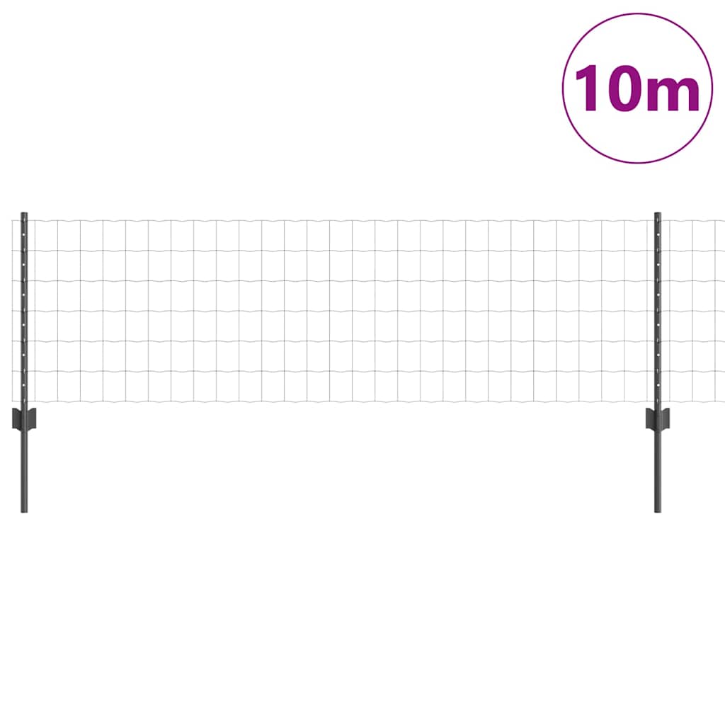 Svejset Trådhegn 10 x 0,6 m (B x H) PVC-belagt stål Grå Mesh