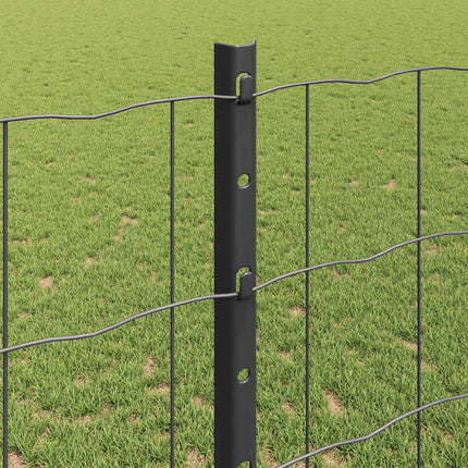 Udendørs Euro Hegn med Stander 10 x 1,2 m PVC-belagt stål Grå