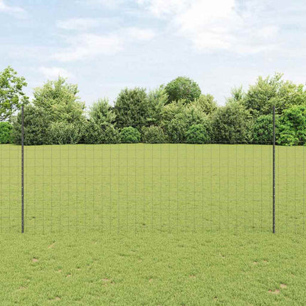 Eurohegn med stolpe 10 x 1,6 m PVC-belagt stål Grå Mesh