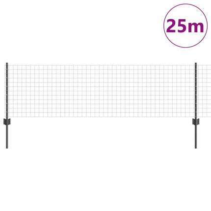 Eurohegn med stolpe 25 x 0,6 m PVC-belagt stål Grå Mesh