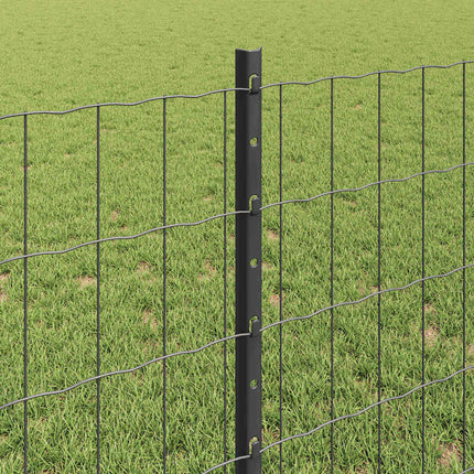 Udendørs Euro Hegn med Stander 25 x 0,8 m PVC-belagt stål Grå