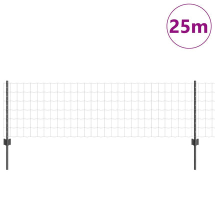 Udendørs Euro Hegn med Stander 25 x 0,6 m PVC-belagt stål Grå