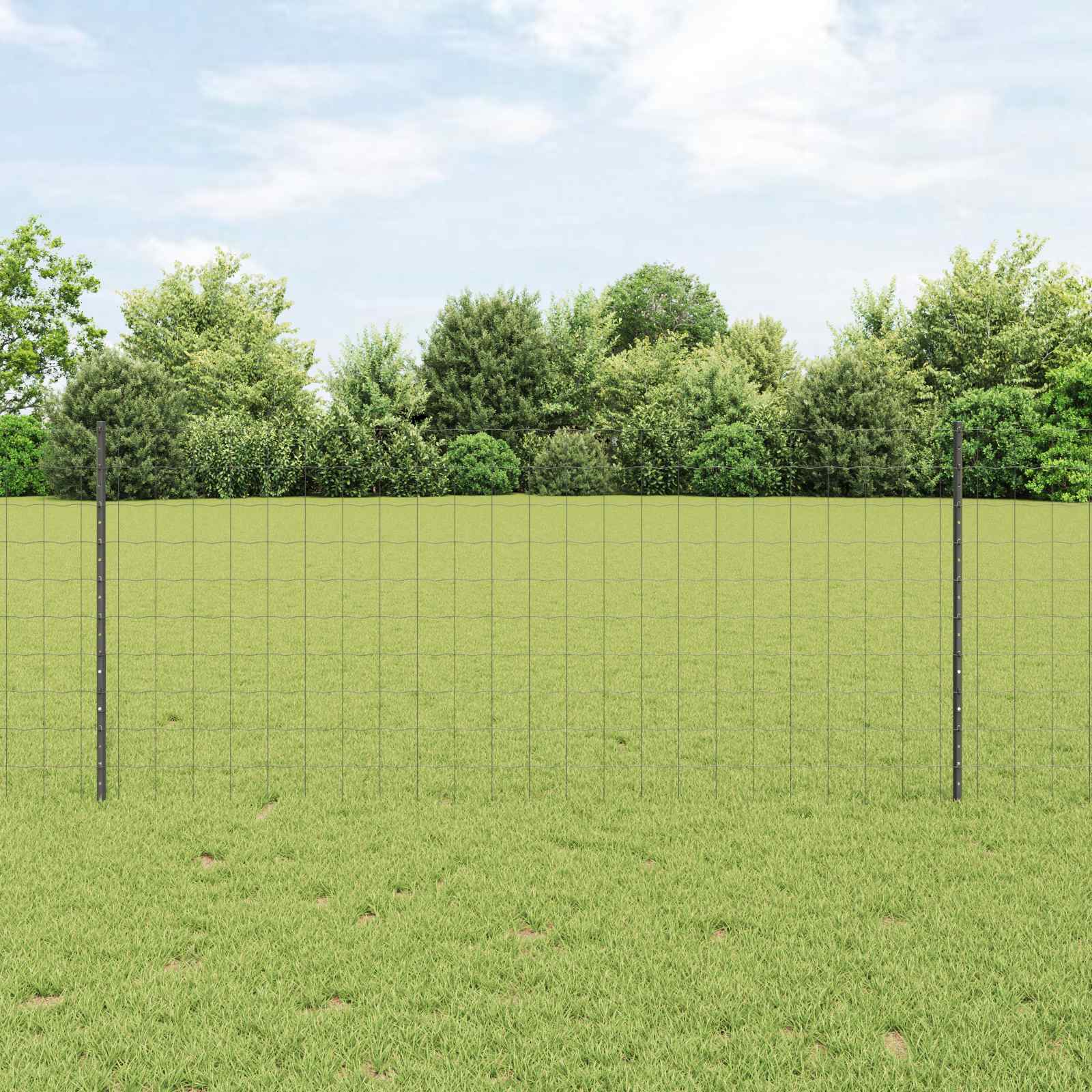 Svejset Trådhegn 25 x 1 m (B x H) PVC-belagt stål Grå Mesh