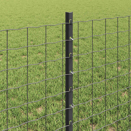 Udendørs Euro Hegn med Stander 50 x 0,6 m PVC-belagt stål Grå