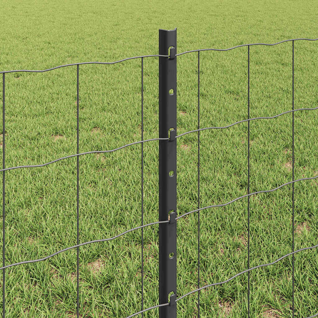 Svejset Trådhegn 50 x 0,6 m (B x H) PVC-belagt stål Grå Mesh