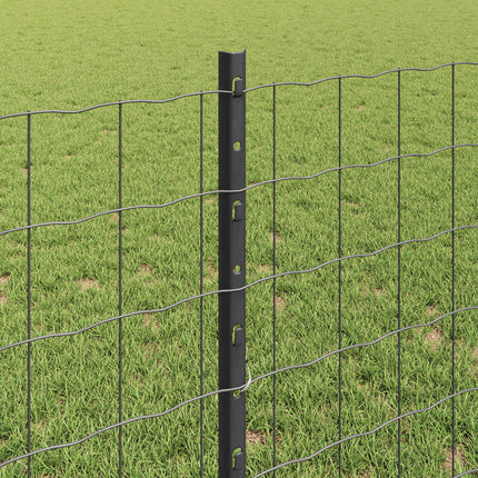 Eurohegn med stolpe 10 x 0,8 m PVC-belagt stål Grå Mesh