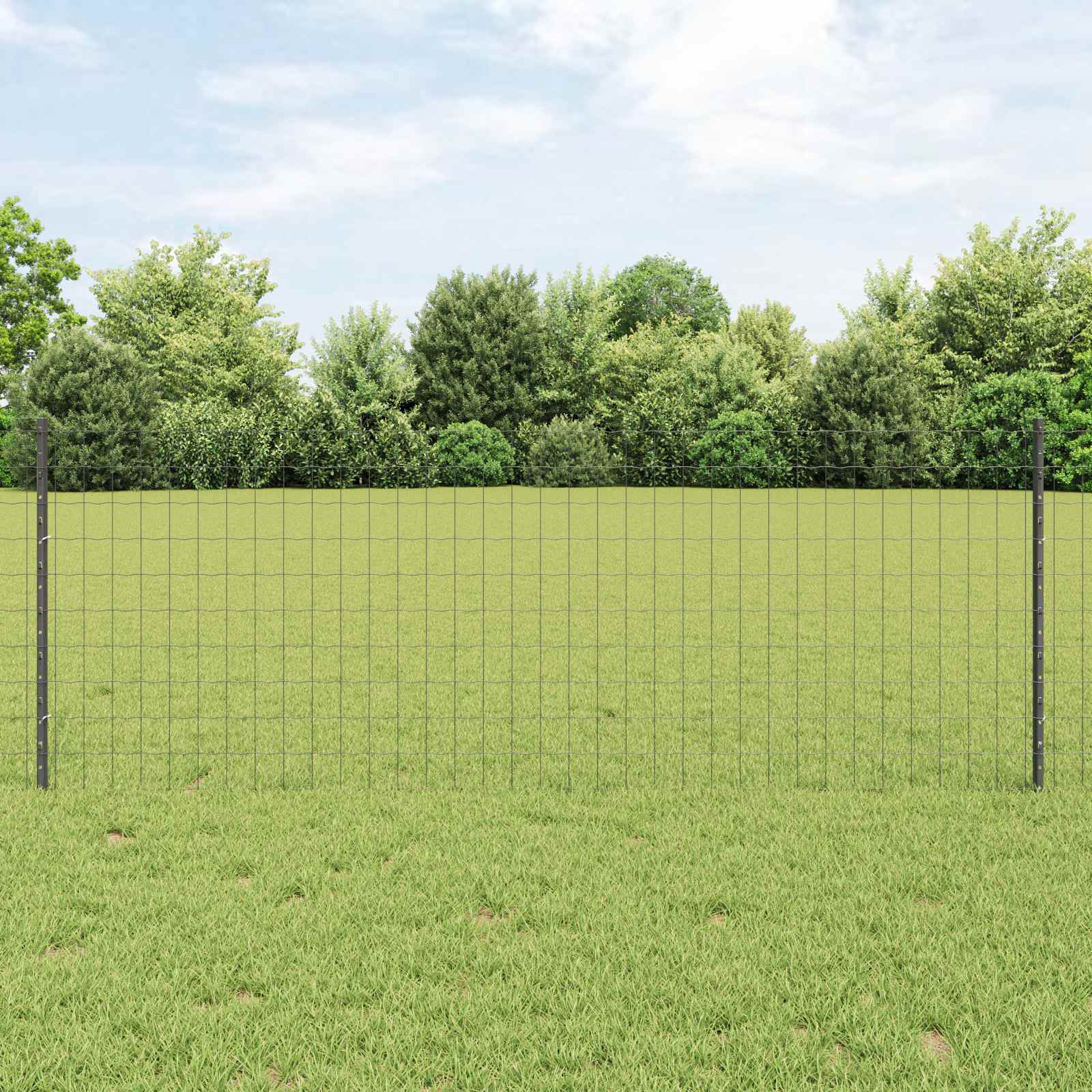 Svejset Trådhegn 10 x 0,8 m (B x H) PVC-belagt stål Grå Mesh