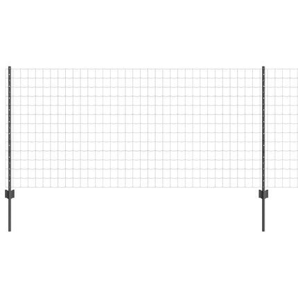 Eurohegn med stolpe 25 x 1 m PVC-belagt stål Grå Mesh