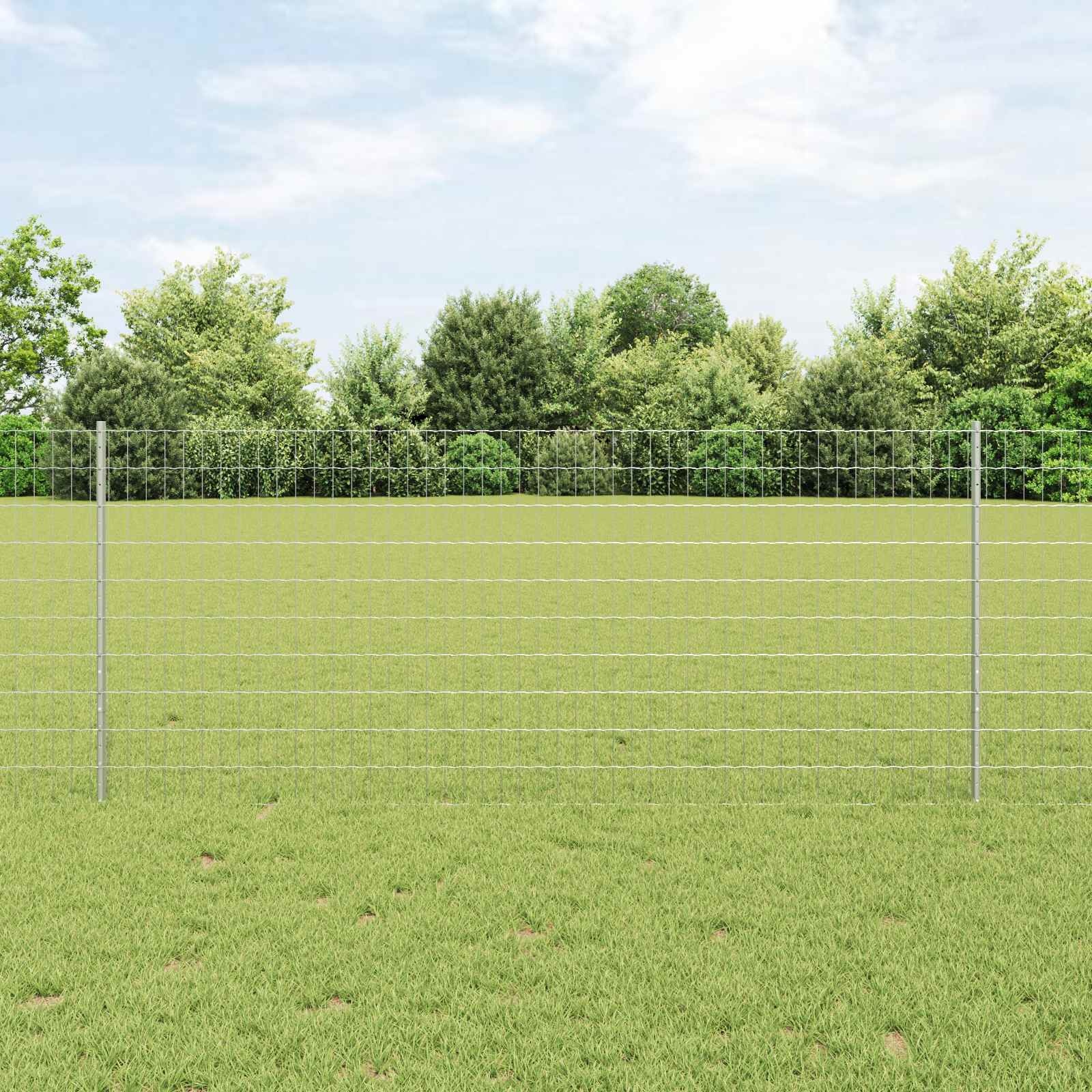 Svejset Trådhegn 25 x 1 m (B x H) Hot-Dip Galvaniseret Stål