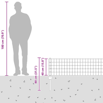 Eurohegn med stolpe 10 x 0,4 m Galvaniseret stål Sølv Mesh