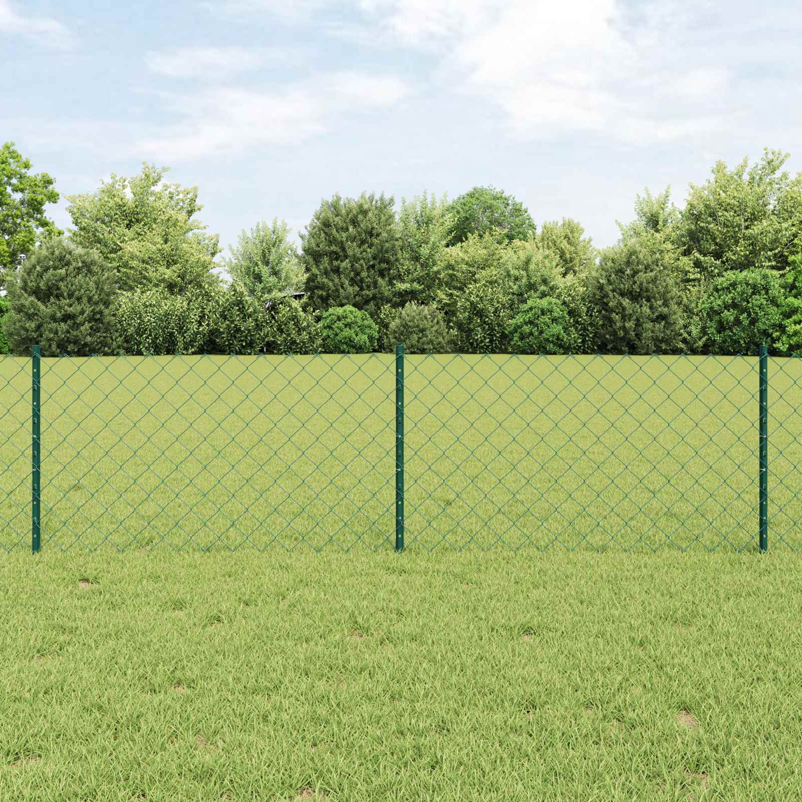 Kæde-link hegn med post 10 x 0,6 m (B x H) PVC-belagt stål Grøn