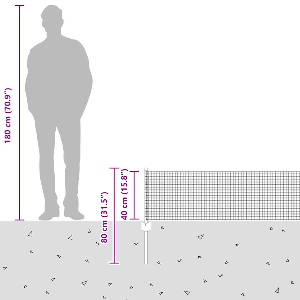 Svejsestålhegn med stolpe 50 x 0,4 m (B x H)