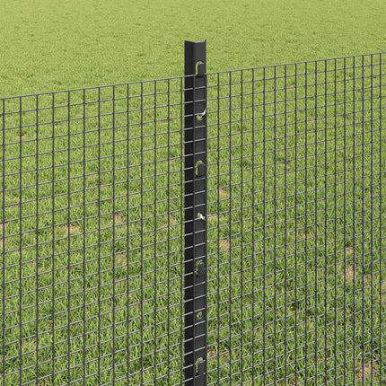 Udendørs svejset trådhegn med stolper 10 x 0,8 m Grå Mesh