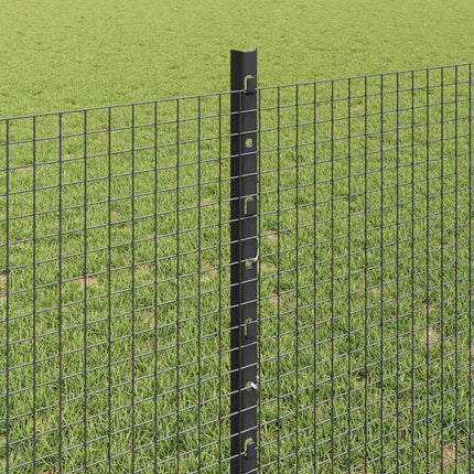Udendørs svejset trådhegn med stolper 10 x 0,8 m Grå Mesh