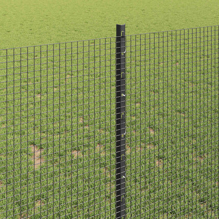 Udendørs svejset trådhegn med stolper 25 x 1 m Grå Mesh