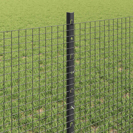 Udendørs svejset trådhegn med stolper 50 x 0,6 m Grå Mesh