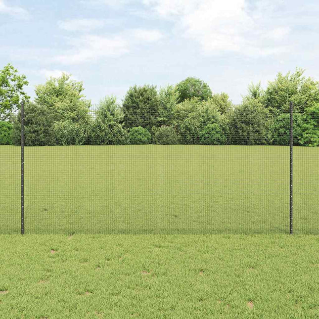 Udendørs svejset trådhegn med stolper 50 x 1,2 m Grå Mesh