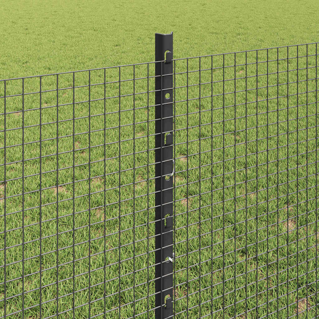 Svejsestålhegn med stolpe 100 x 0,8 m (B x H) PVC-belagt stål