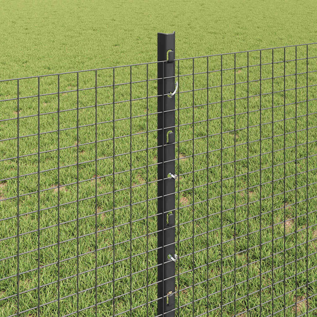 Svejsestålhegn med stolpe 100 x 0,8 m (B x H) PVC-belagt stål