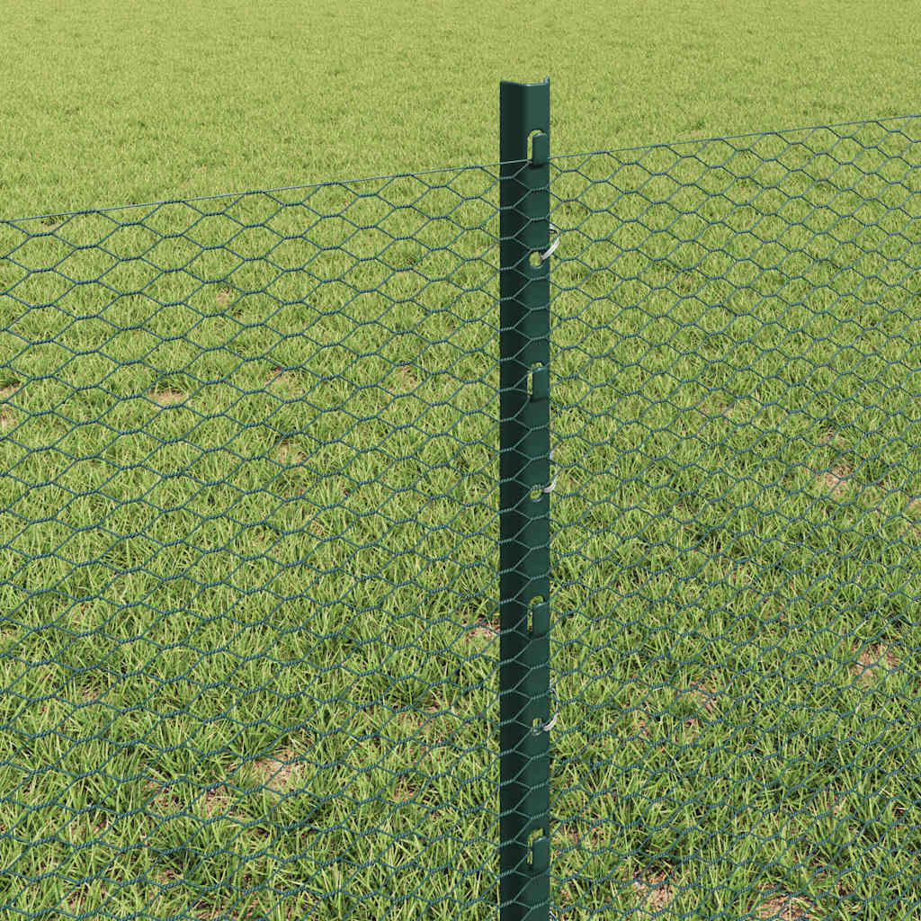 Svejset Trådhegn 100 x 0,6 m (B x H) PVC-belagt stål Grøn Mesh