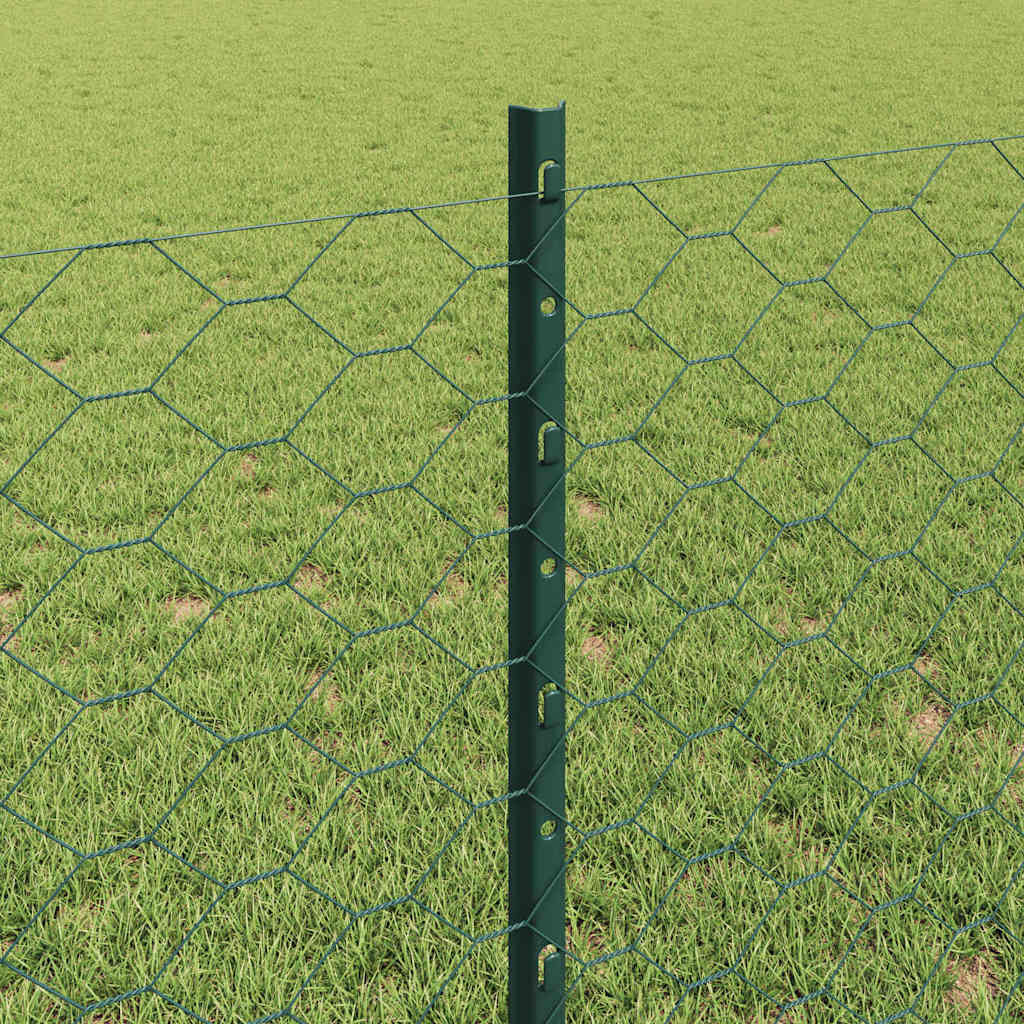 Svejset Trådhegn 100 x 0,8 m (B x H) PVC-belagt stål Grøn Mesh