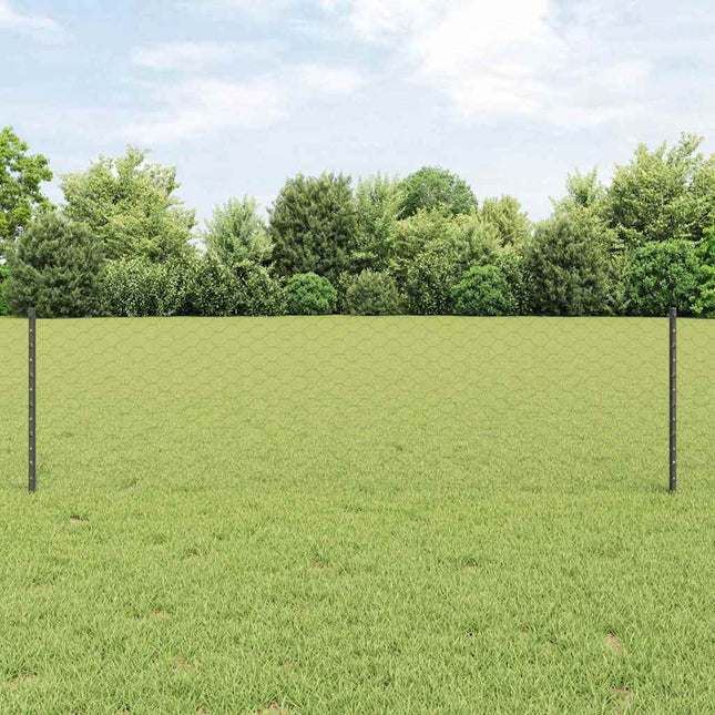 Udendørs sekskantet hegn med stolpe 10 x 0,6 m PVC-belagt stål