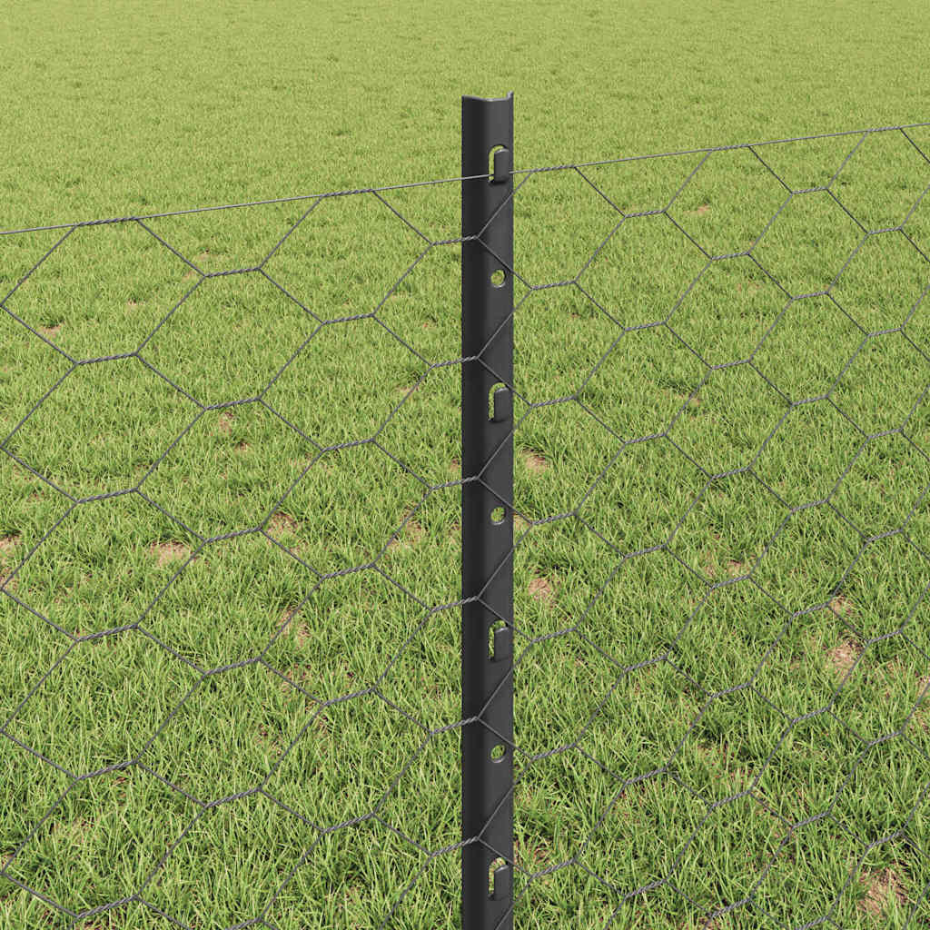 Svejset Trådhegn 10 x 0,8 m (B x H) PVC-belagt stål Grå Mesh