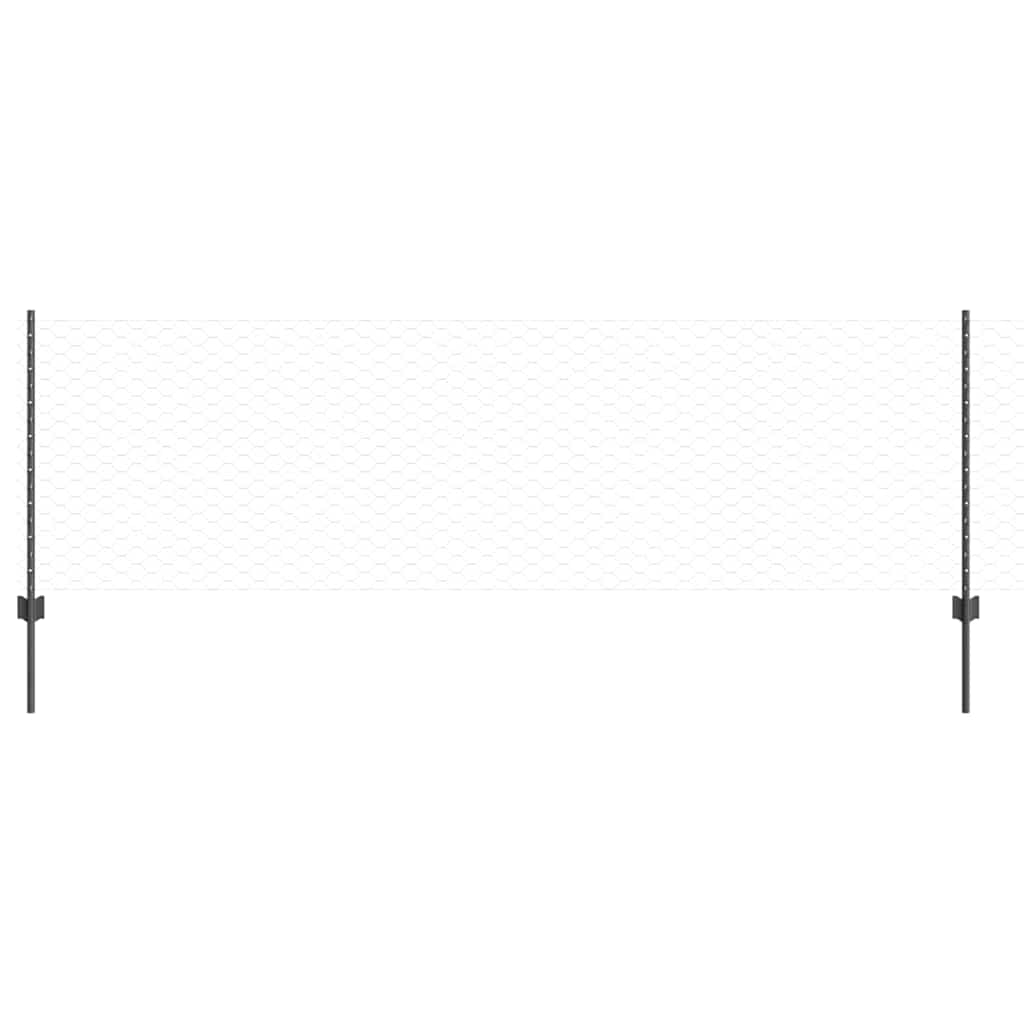 Svejset Trådhegn 10 x 0,8 m (B x H) PVC-belagt stål Grå Mesh