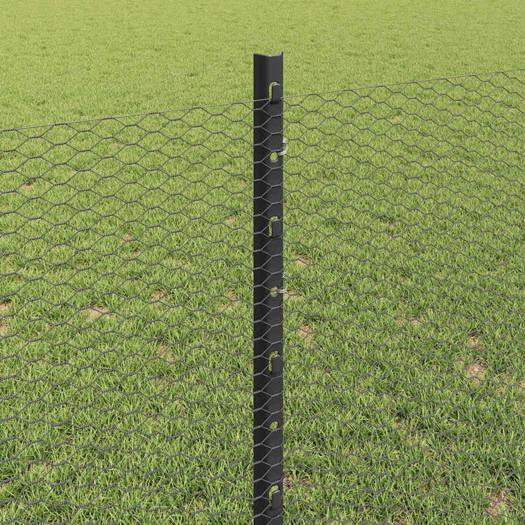 Svejset Trådhegn 25 x 0,8 m (B x H) PVC-belagt stål Grå Mesh