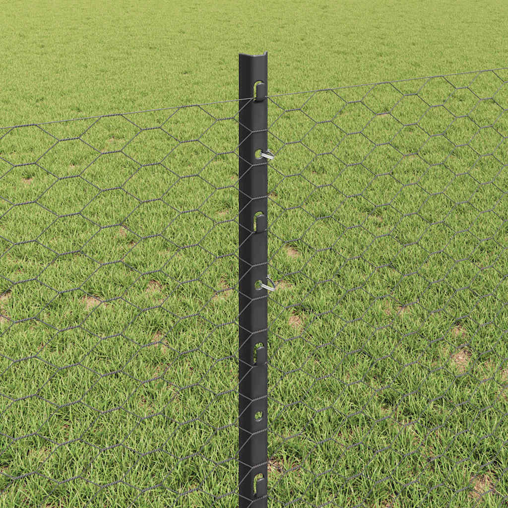 Svejset Trådhegn 25 x 0,8 m (B x H) PVC-belagt stål Grå Mesh
