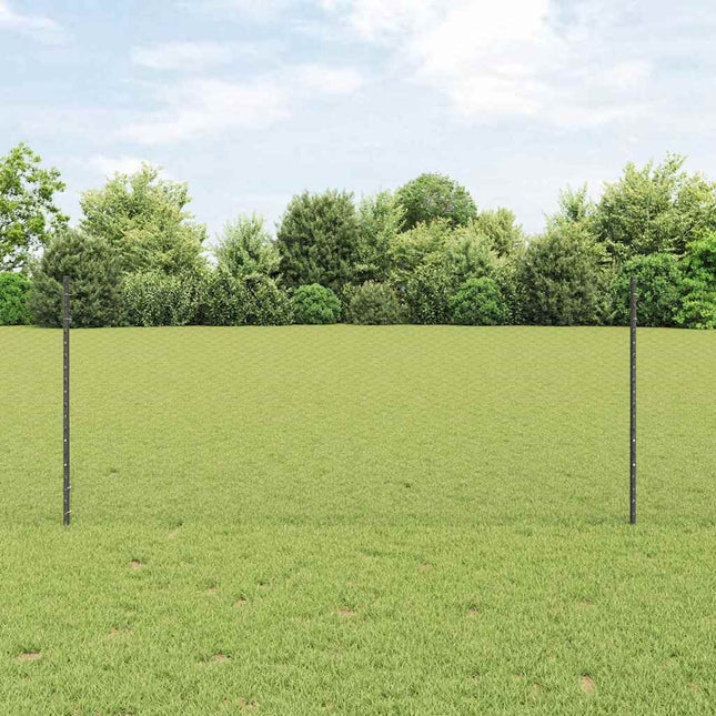 Udendørs sekskantet hegn med stolpe 25 x 1 m PVC-belagt stål