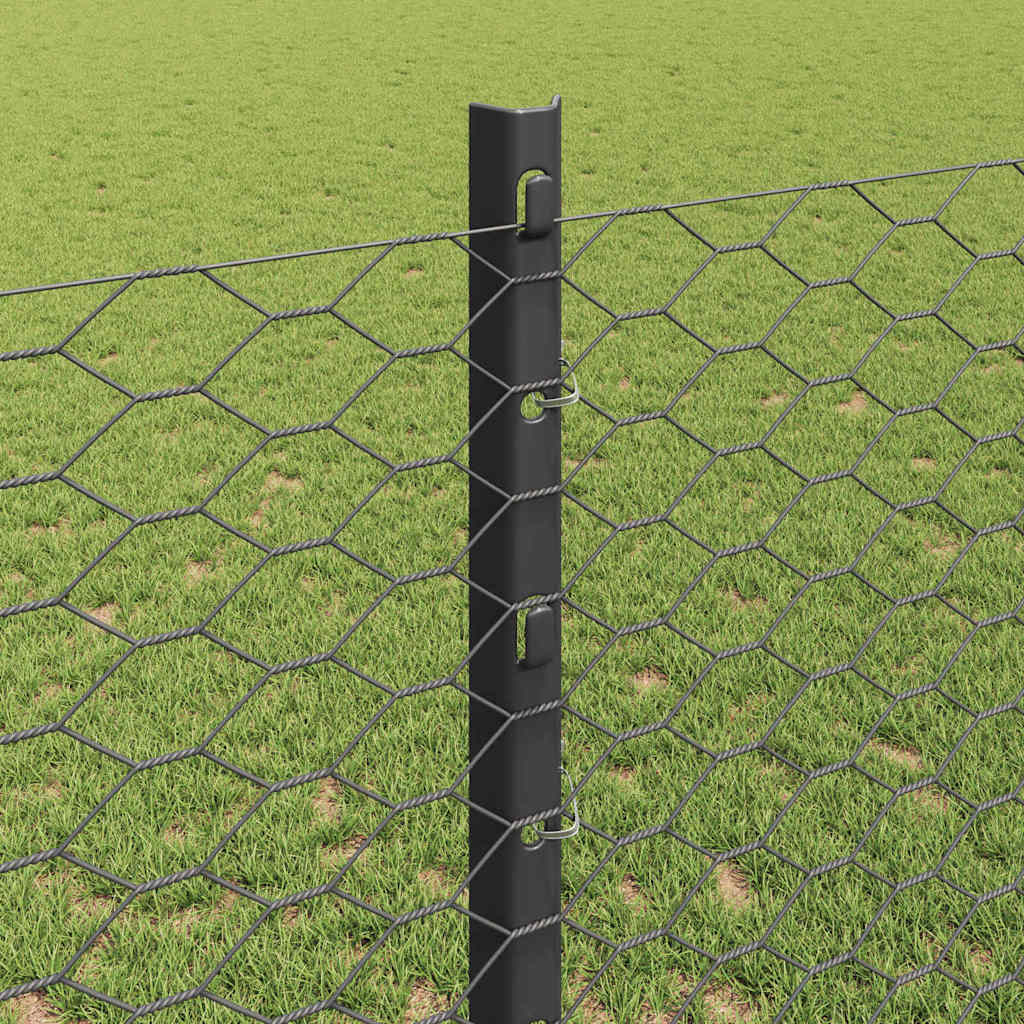 Svejset Trådhegn 25 x 1,2 m (B x H) PVC-belagt stål Grå Mesh