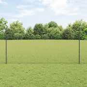 Svejset Trådhegn 25 x 1,2 m (B x H) PVC-belagt stål Grå Mesh