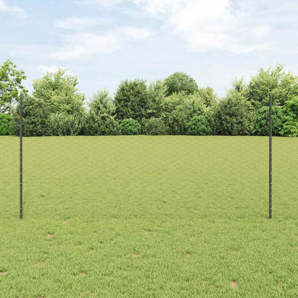 Svejset Trådhegn 25 x 1,2 m (B x H) PVC-belagt stål Grå Mesh