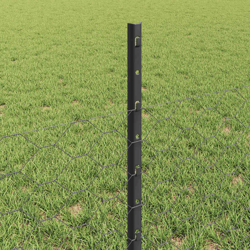 Svejset Trådhegn 50 x 0,5 m (B x H) PVC-belagt stål Grå Mesh