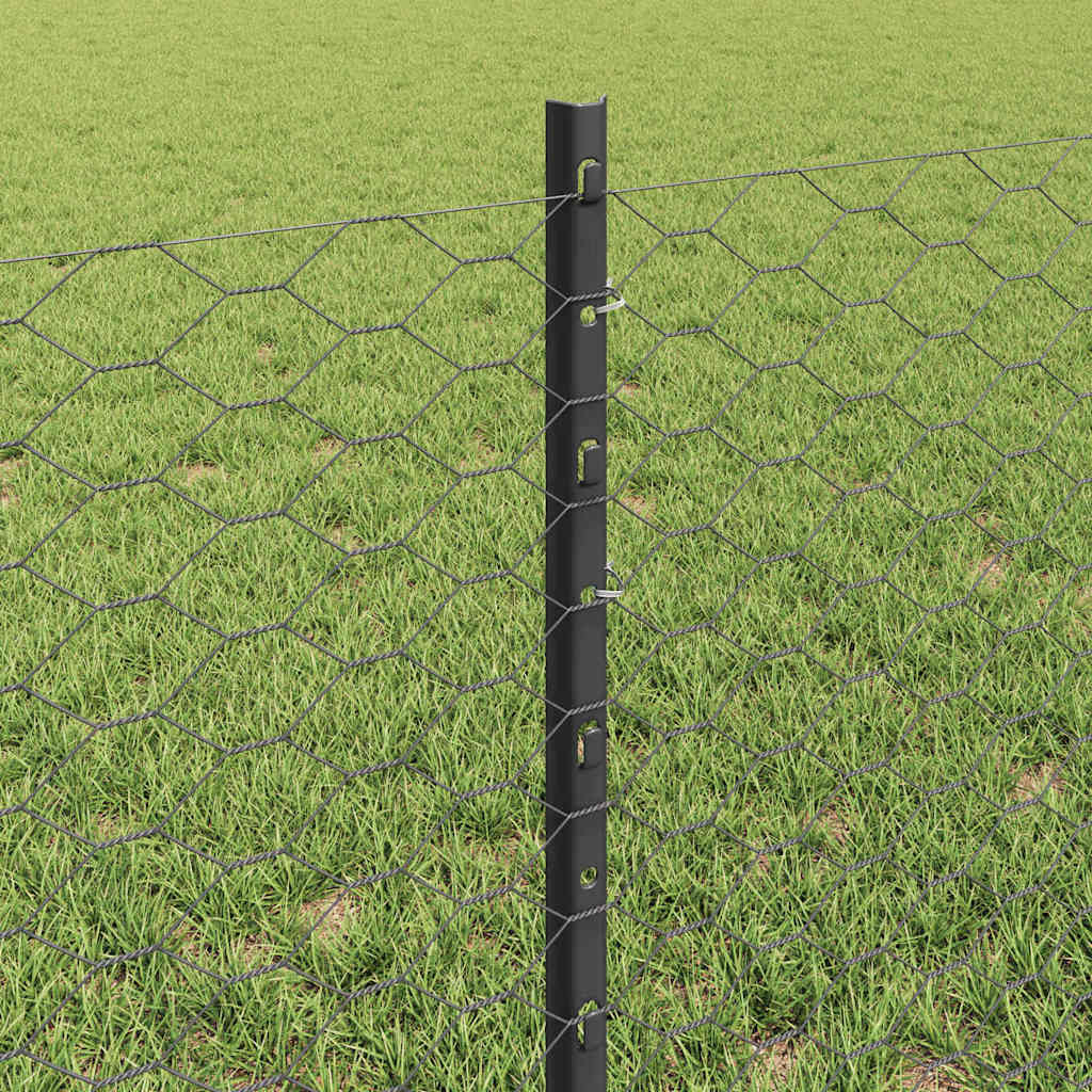 Svejset Trådhegn 50 x 0,6 m (B x H) PVC-belagt stål Grå Mesh