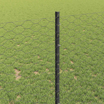 Udendørs sekskantet hegn med stolpe 50 x 1 m PVC-belagt stål