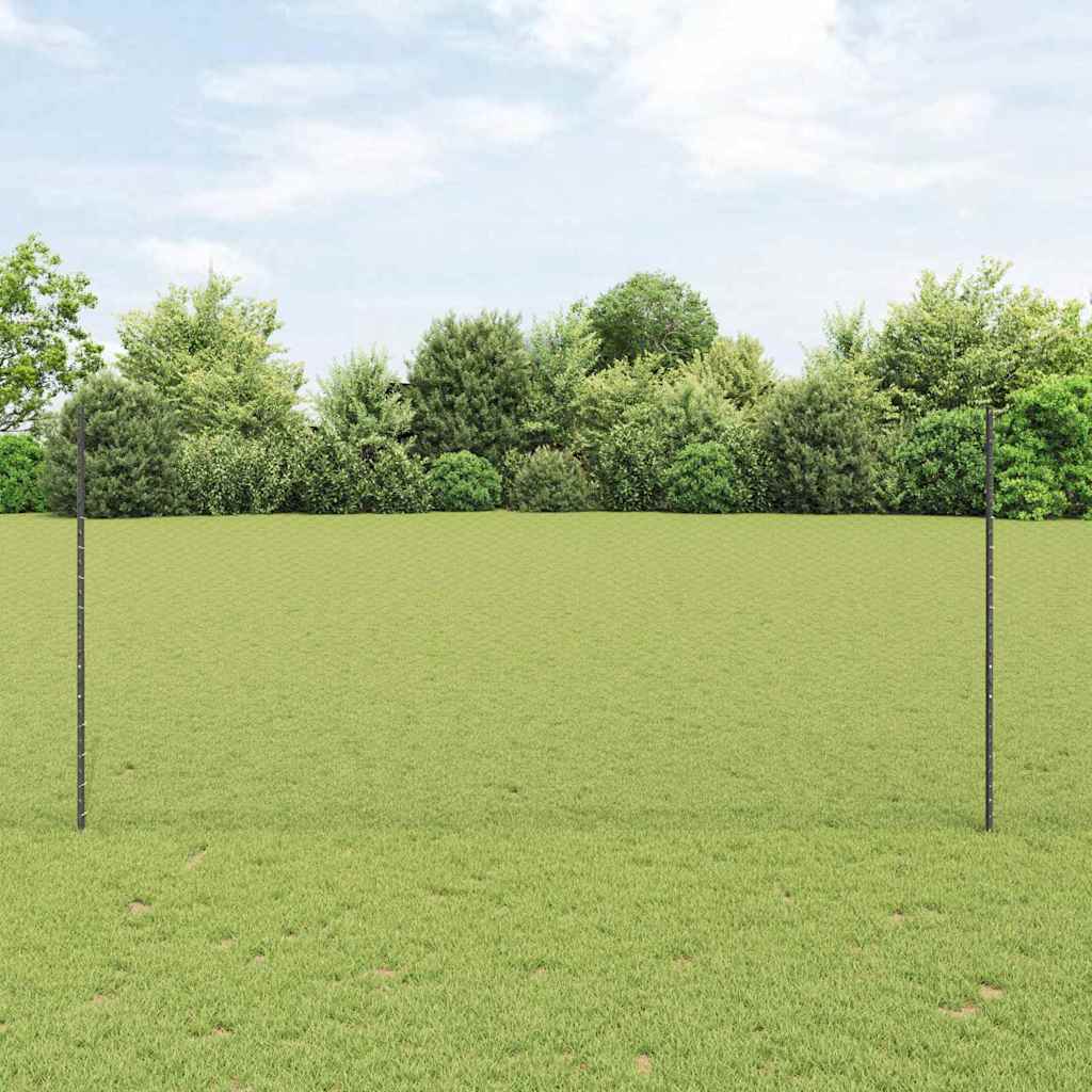 Svejset Trådhegn 50 x 1,4 m (B x H) PVC-belagt stål Grå Mesh