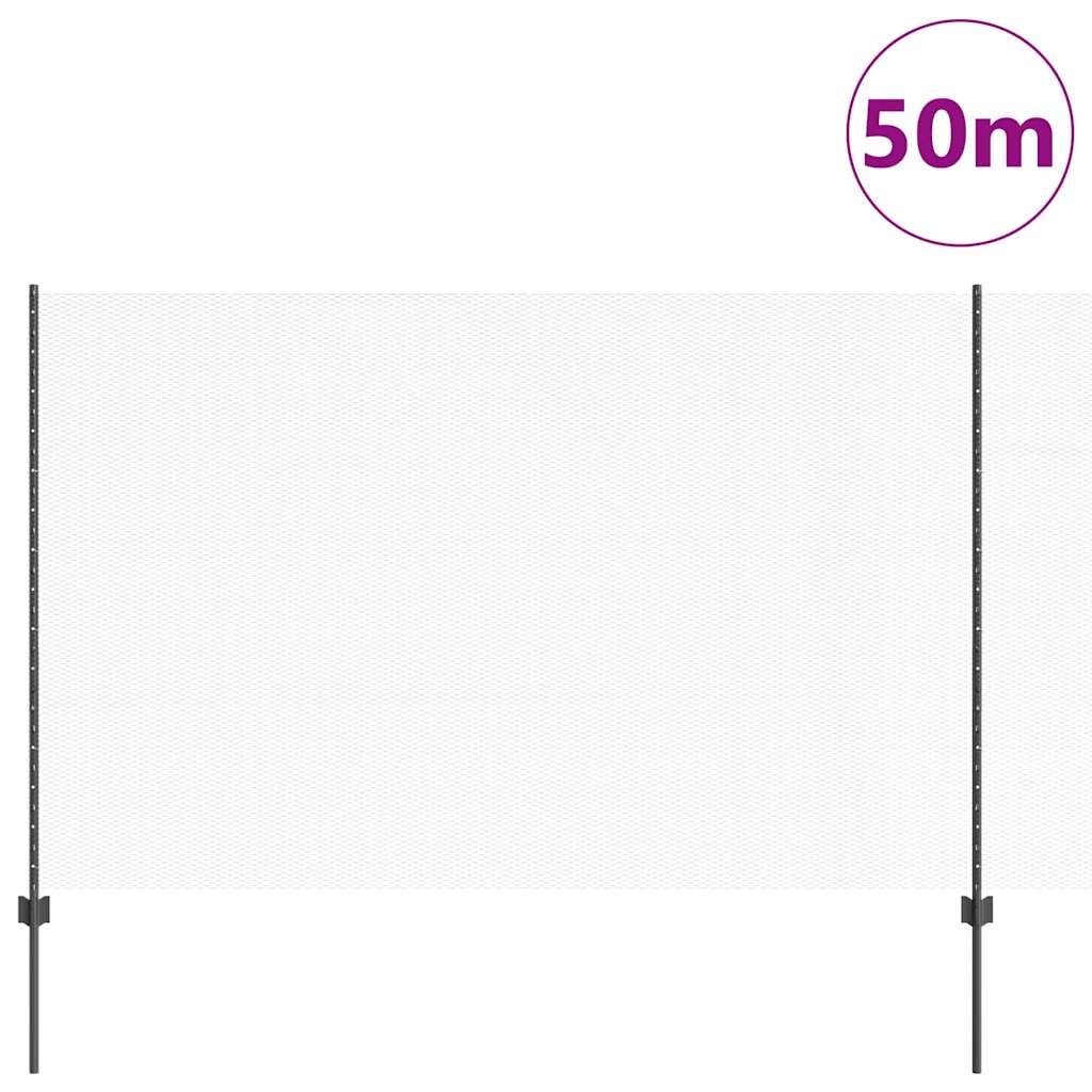 Svejset Trådhegn 50 x 1,6 m (B x H) PVC-belagt stål Grå Mesh