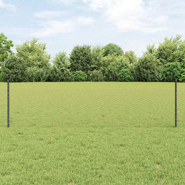 Udendørs sekskantet hegn med stolpe 100 x 0,5 m PVC-belagt stål