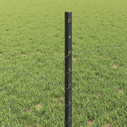 Udendørs sekskantet hegn med stolpe 100 x 0,5 m PVC-belagt stål