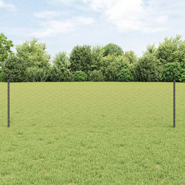 Udendørs sekskantet hegn med stolpe 100 x 0,5 m PVC-belagt stål