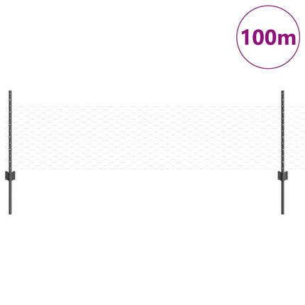 Udendørs sekskantet hegn med stolpe 100 x 0,5 m PVC-belagt stål