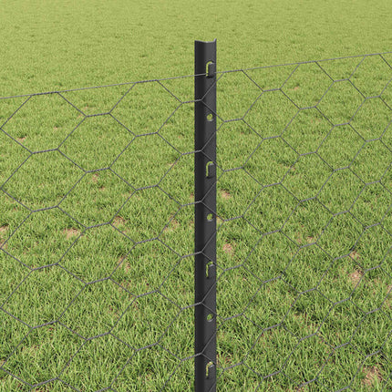 Udendørs sekskantet hegn med stolpe 100 x 0,8 m PVC-belagt stål