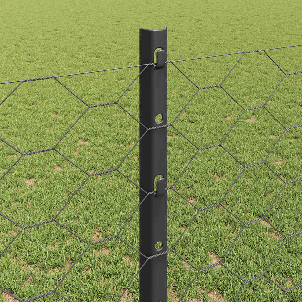 Svejset Trådhegn 100 x 1,2 m (B x H) PVC-belagt stål Grå Mesh