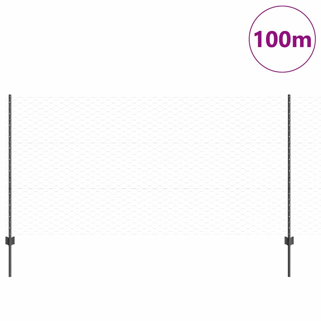Svejset Trådhegn 100 x 1,2 m (B x H) PVC-belagt stål Grå Mesh