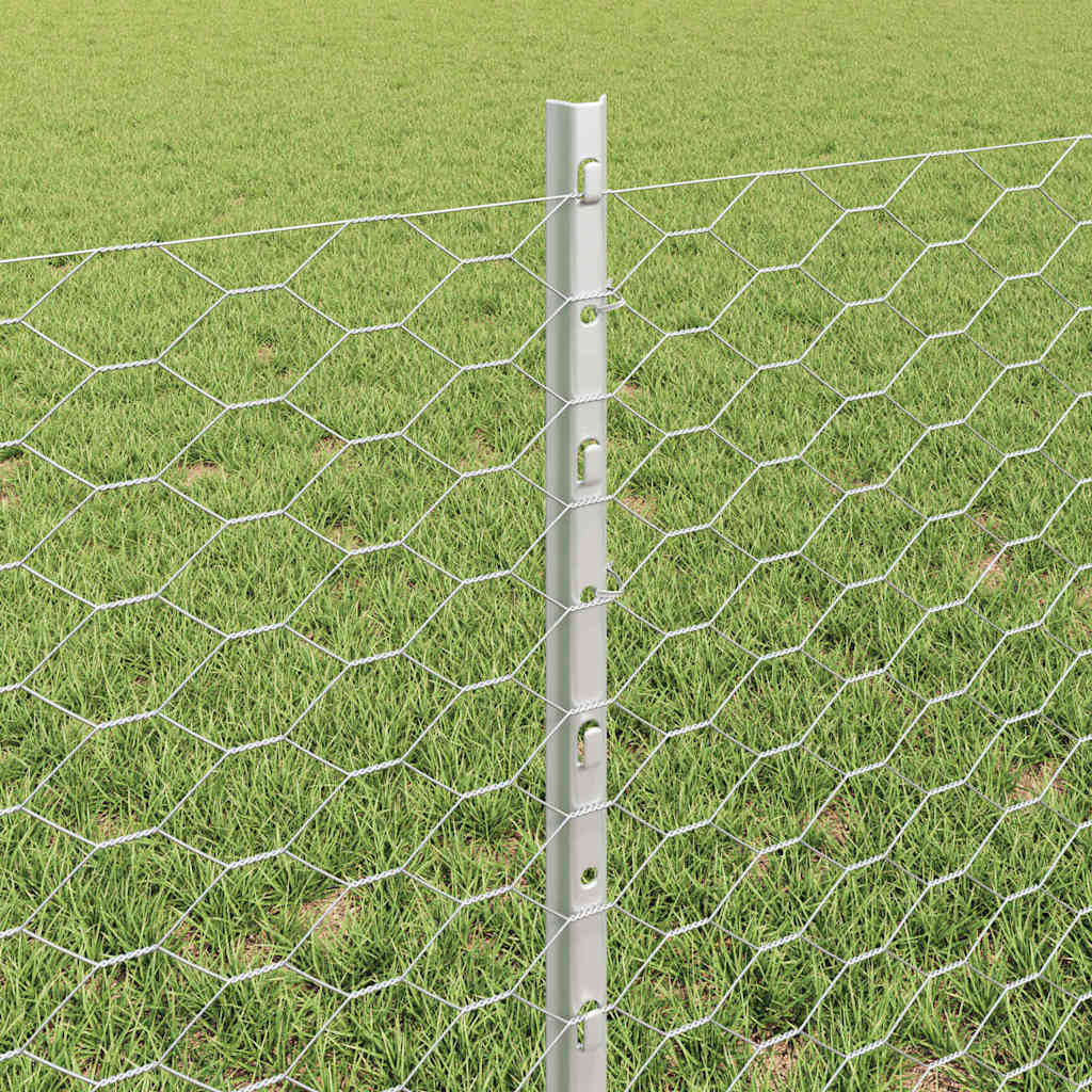 Svejset Trådhegn 10 x 0,6 m (B x H) Hot-Dip Galvaniseret Stål