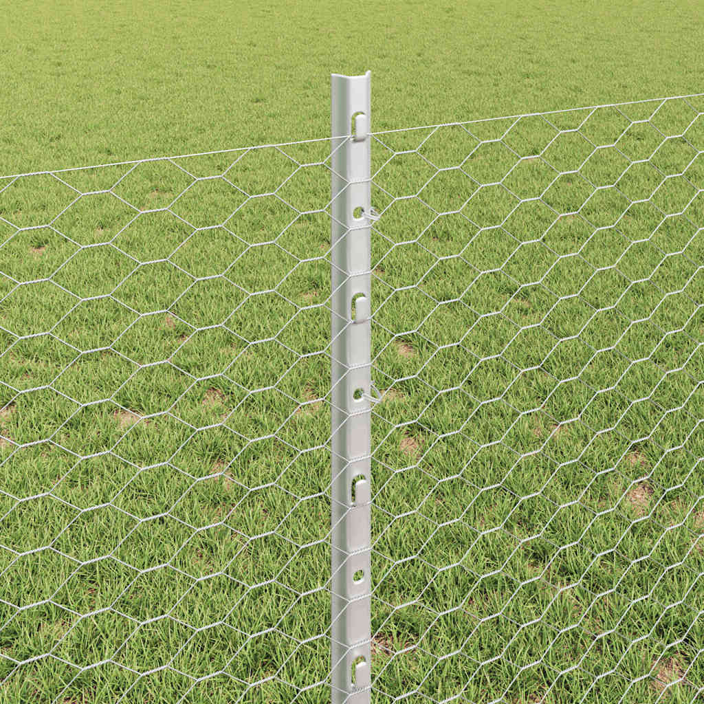 Svejset Trådhegn 10 x 0,8 m (B x H) Hot-Dip Galvaniseret Stål